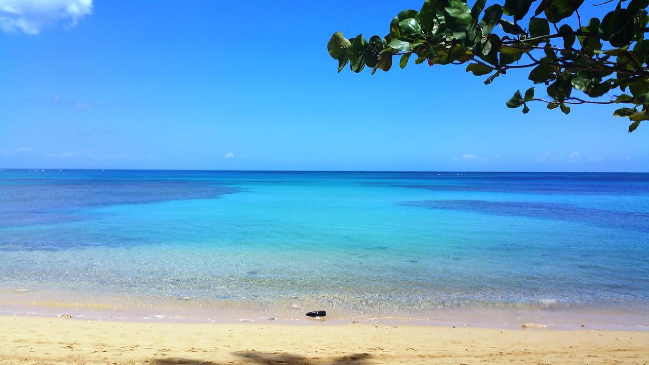 Aligio Apart-Hotel & Spa - Las Terrenas Luaran gambar
